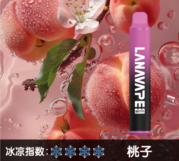 微信图片_20250512210550 【LANA抛棄式8000口】可充電 油容量巨大❤️🔥 LANA ZOLT抛棄式8000口一次性 限時活動 {滿十送一}